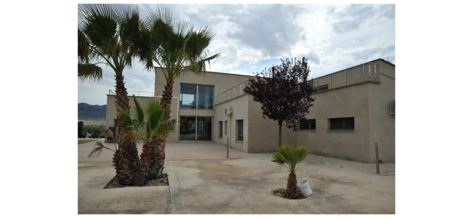 Villa Campo Premium Yecla Bagian luar foto