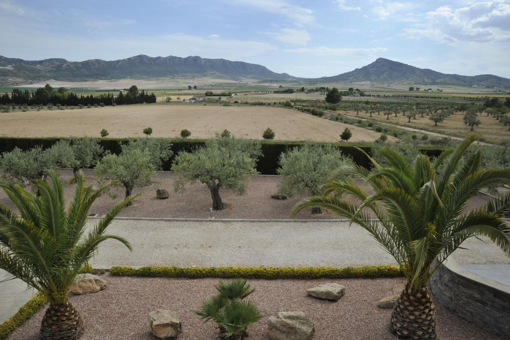 Villa Campo Premium Yecla Bagian luar foto
